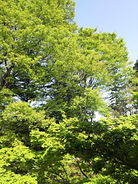 ★押すとファイル★